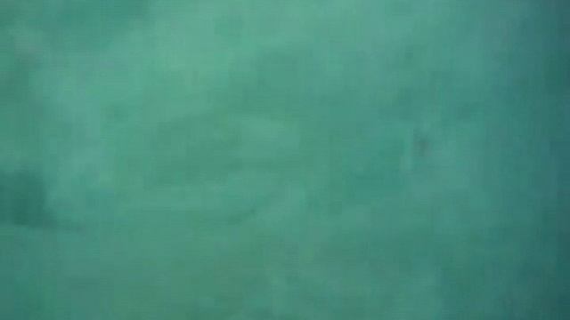 Летучий фрегат     Наутилус Помпилиус  Настя Полева