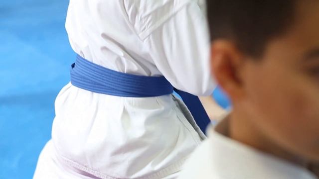 Все о поясах для Карате. Как получить, что значит цвет пояса.