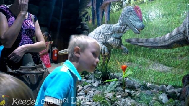Путешествие в Мир ДИНОЗАВРОВ