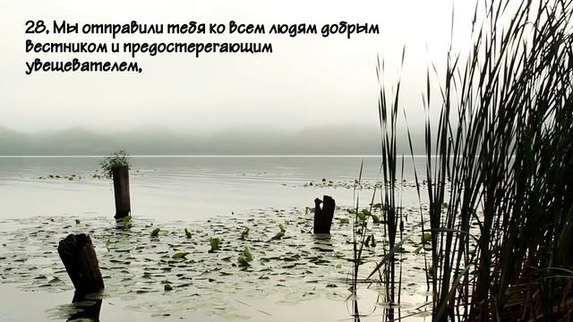 Мансур Мухиддин (Mansoor Mohiddine). Сура Саба (15-39). HD