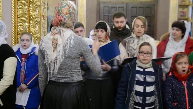 В ночном саду