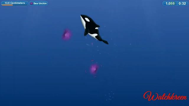 Killer Whale - TASTY PLANET FOREVER (Watchkreen Style)
