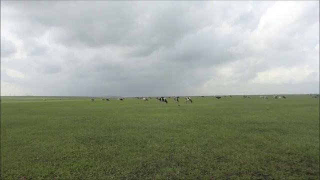 Huun-Huur-Tu &  The Bulgarian Voices - Lonely Bird