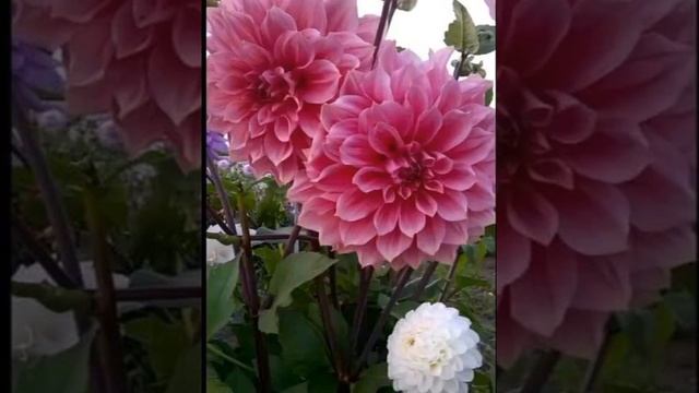 С Днем рождения!!!христианское поздравление
