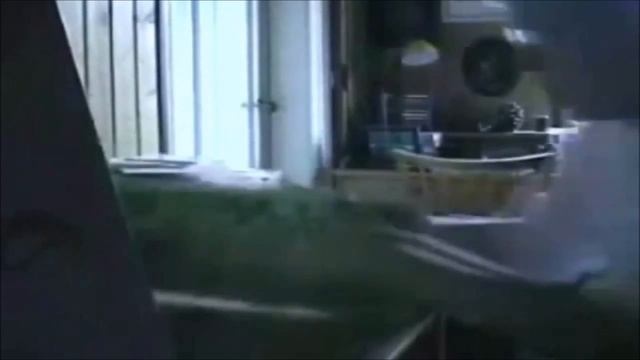 The Angry German Kid Show! Episode 1: Angry German Kid's Birthday