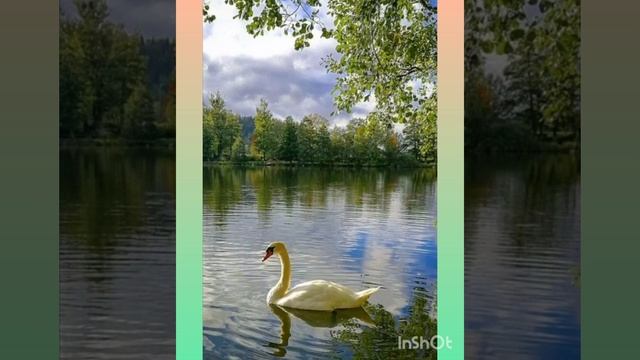 Хорошая музыка