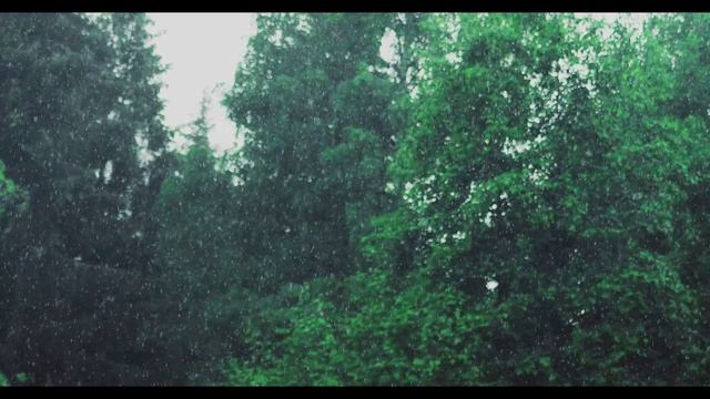 Расслабляющий дождь чтобы уснуть за 5 минут | Дождь и гроза на террасе в туманном лесу