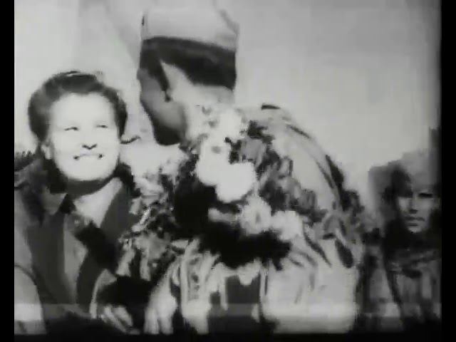 Летят перелётные птицы