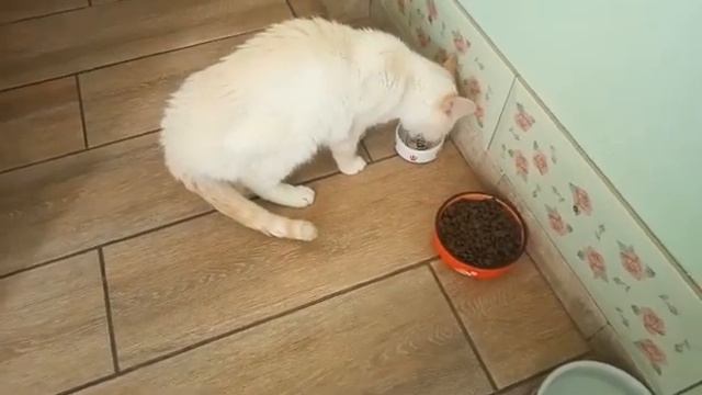 Семён Семёныч