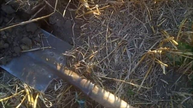 НА ЭТОМ ПОЛЕ ТОЛЬКО ТАКИЕ НАХОДКИ