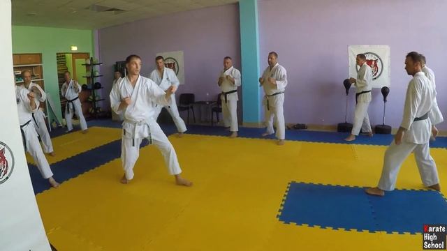 Аттестационные требования на 3 кю ФКР. Александр Чичварин