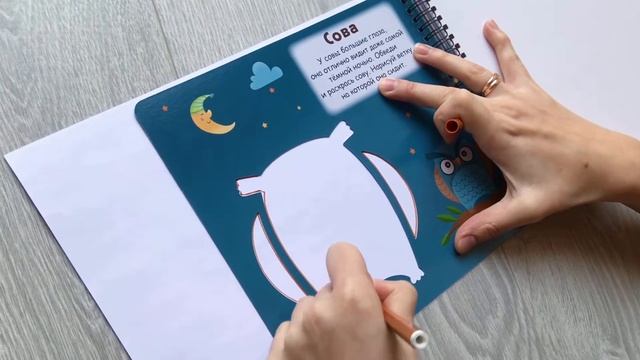 «МОИ ПЕРВЫЕ ТРАФАРЕТЫ» | Развиваем воображение, память и креативное мышление!