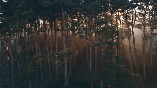 Кунг-фу Панда 5 (2024,фильм)
