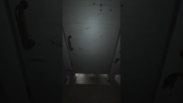 Animation