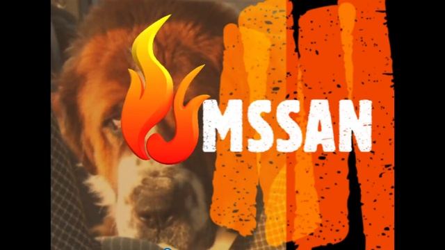 70MAI DASH CAM PRO PLUS установка на лобовое стекло .