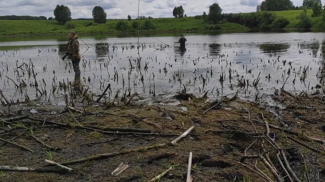 03 | Проект Аренда пруда | Пилим сухостой
