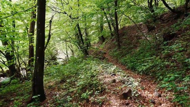 4K Video Ultra HD  Природа 4 К  Unbelievable Beauty