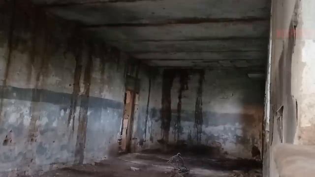 ПОДЗЕМНЫЕ ВОДЫ. Страшные истории на ночь. Страшилки на ночь.