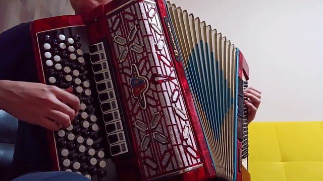 Белоснежная вишня (На баяне)