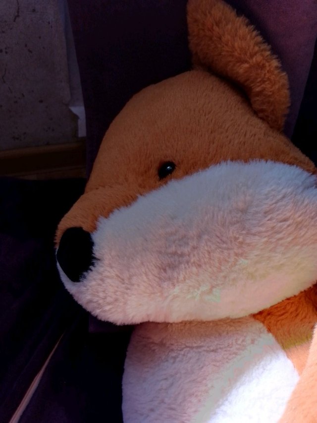 лиса 🐺🫠❤️🔥🪷🧋🦊