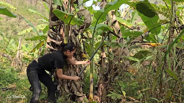 3 Days - Life of a 17 Year Old Single Mother - Upland Market & Banana Farming
