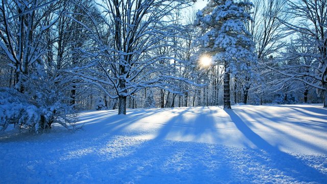Зимы изысканный этюд / Exquisite Etude of Winter • ВидеоКанал «exZotikA»