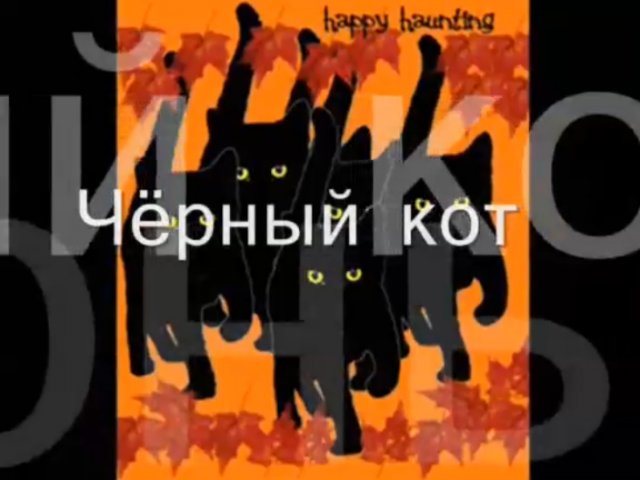 Чёрный кот