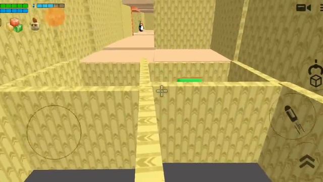 попал в ЗАКУЛИСЬЕ в чикен гане 😳