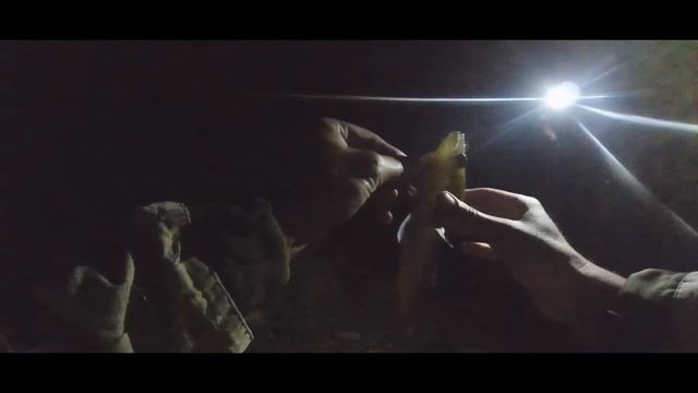 Воблер для ловли ночного судака (Jerry Rifle)