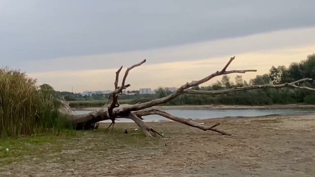 Новые приключения Вакая