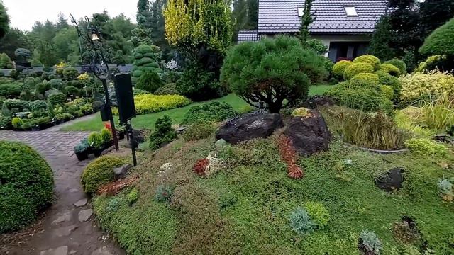 Красивый сад в Чехии. Miniarboretum u Holubů. Большая хвойная коллекция, и не только.... 1 часть.