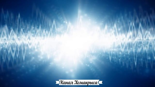 Ультразвук для котов кошек и собак Звук ультразвука Мощный отпугиватель собак и кошек