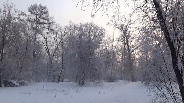 ЦПКиО или Иерусалимская гора в Иркутске