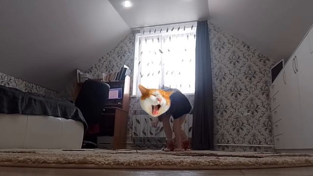 🌿Туториал по квадробике! Что это такое и как научиться🐾