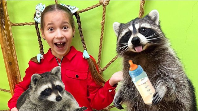 София как мама для Енотов! Веселое видео с домашними животными
