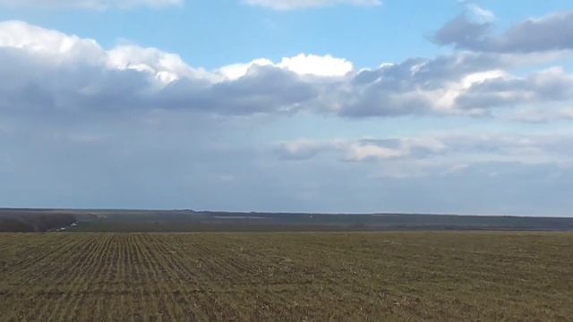 Внесение удобрения по грязи пневмоходом Роса.