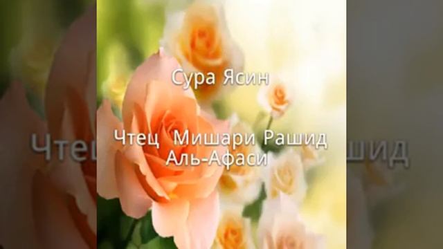 Сура Ясин     чтец Мишари   Рашид Аль- Афаси
