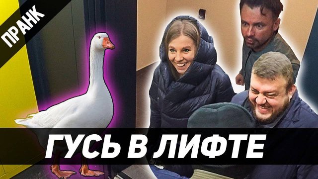 ПРАНК_ ГУСЬ В ЛИФТЕ РЕАКЦИЯ СОСЕДЕЙ