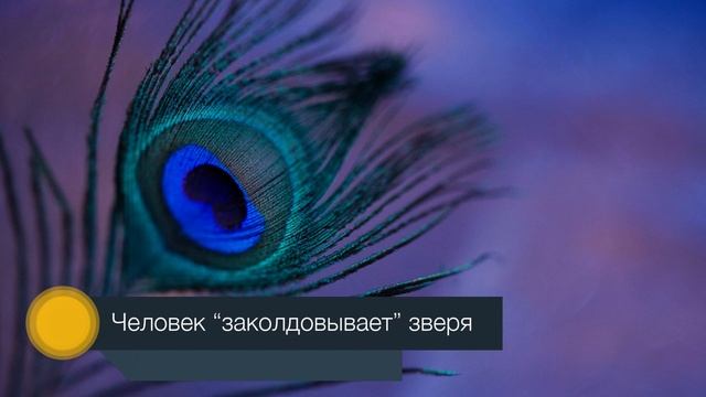 §3 "Возникновение искусства и религиозных верований", История древнего мира 5 класс, Вигасин.mp4