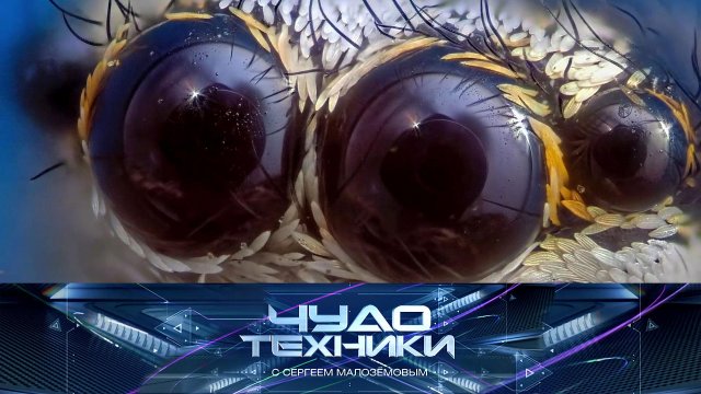 Мир под микроскопом, уловки ремонтных мастерских и «умный» видеодомофон | «Чудо техники»