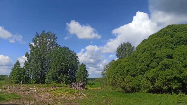 Из города в деревню/Дом в деревне/Псковская область.