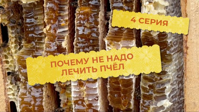 4 серия. Почему не нужно лечить пчёл.