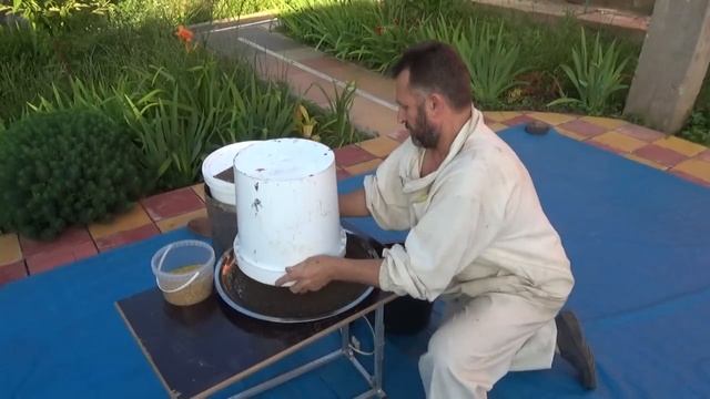Инкубатор для восковой моли. Продукт жизнедеятельности личинки восковой моли (1).mp4