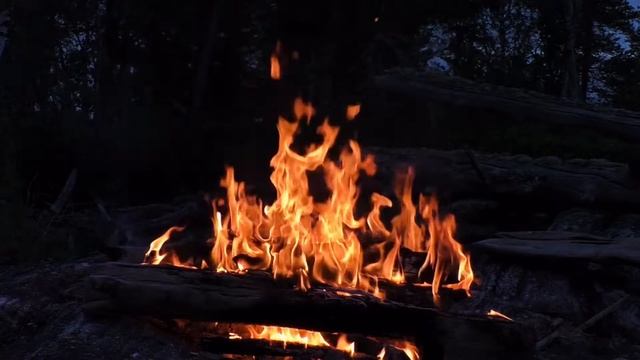 Костер в ночном лесу