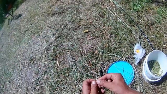 Моя рыбалка с Петровичем. Трофей 3 кг