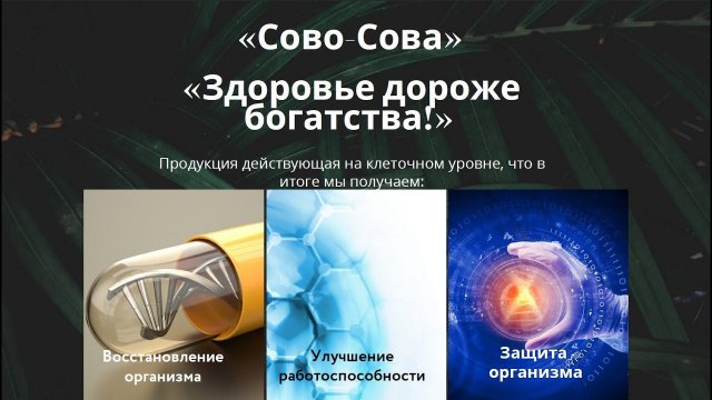О компании Сово-Сова, продукция, маркетинг, промоушен возможности | Денис Трофимов и Олег Патлай