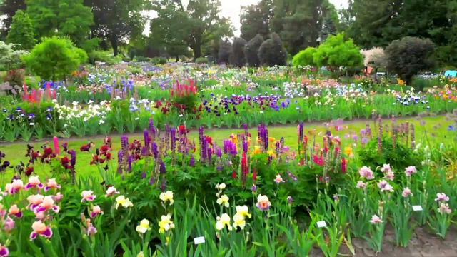 Schreiners Gardens From Our Fields to Your Garden