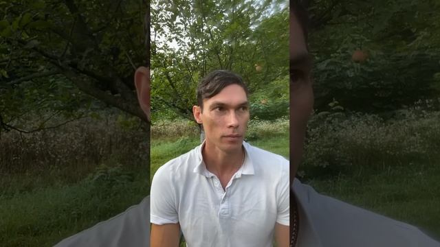 Александр Сахний в прямом эфире