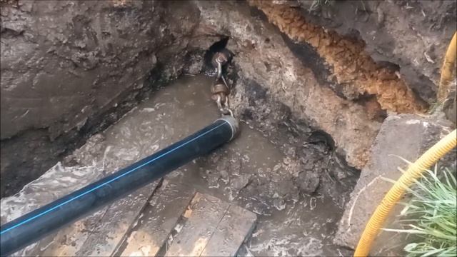 Прокол под дорогой методом ГНБ