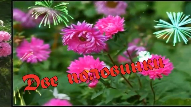 Сёстры Толмачевы-Две половинки.mp4
